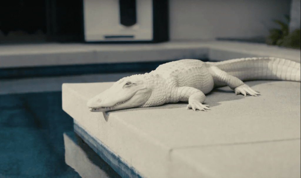 Doechii's Aligator Coconut 'Coco' in Samsung Galaxy S25 Edge Ad Campaign